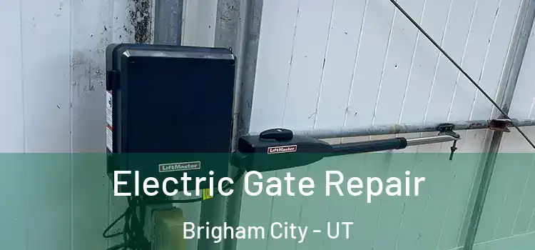  Electric Gate Repair Brigham City - UT