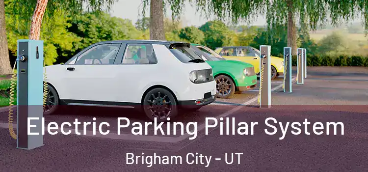  Electric Parking Pillar System Brigham City - UT
