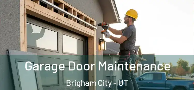  Garage Door Maintenance Brigham City - UT