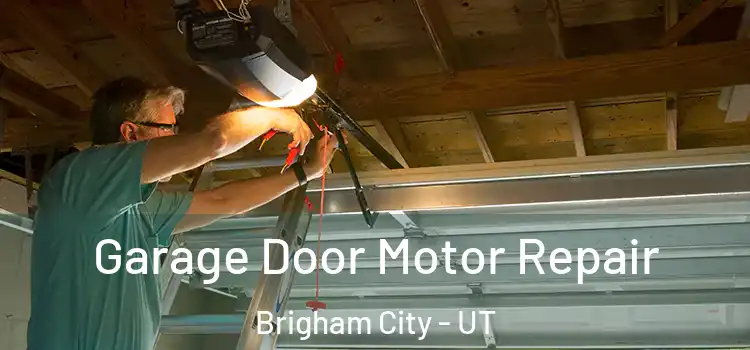  Garage Door Motor Repair Brigham City - UT