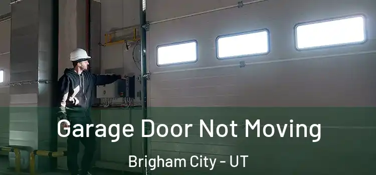  Garage Door Not Moving Brigham City - UT