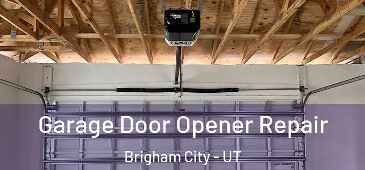  Garage Door Opener Repair Brigham City - UT