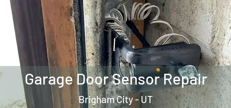  Garage Door Sensor Repair Brigham City - UT