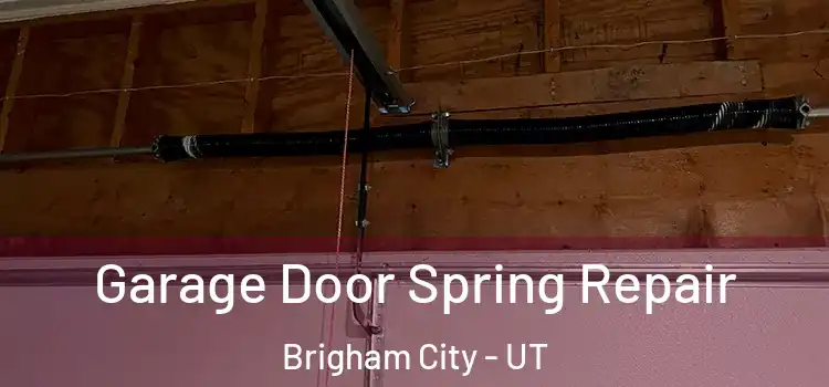  Garage Door Spring Repair Brigham City - UT