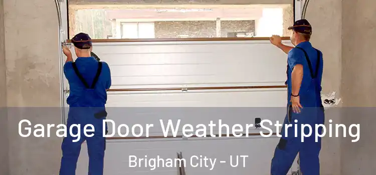  Garage Door Weather Stripping Brigham City - UT