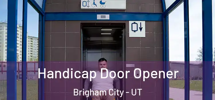  Handicap Door Opener Brigham City - UT