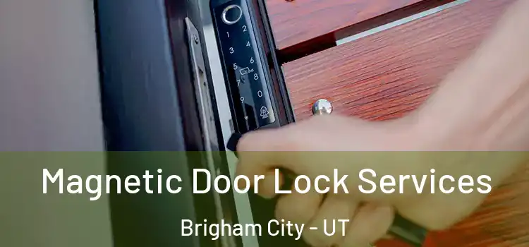  Magnetic Door Lock Services Brigham City - UT
