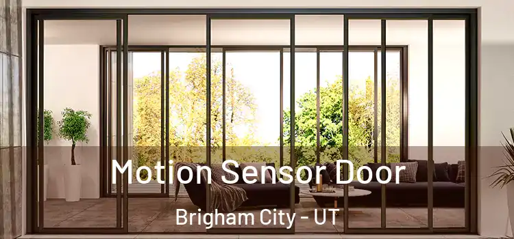 Motion Sensor Door Brigham City - UT